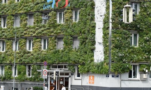Bất động sản xanh đang là xu thế phát triển của thế giới. Ảnh: Một công trình ở Áo được trồng cây xanh, có tác dụng bảo vệ kết cấu tòa nhà khỏi mưa và bụi bẩn, chống ồn cũng như có thể làm mát. Nguồn: Guo Chen/Tân Hoa Xã
