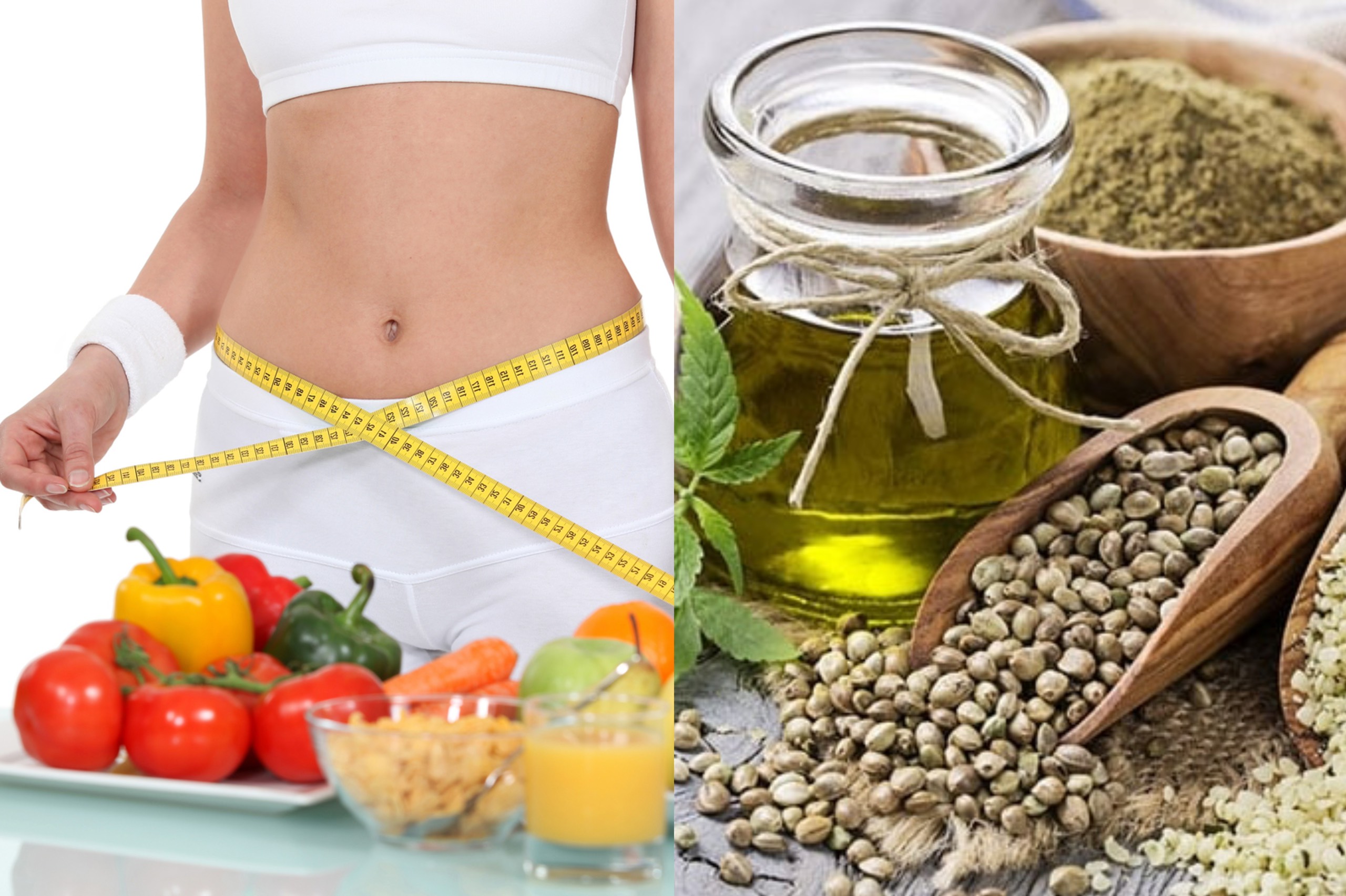 Hình minh họa: Tuệ Nhi