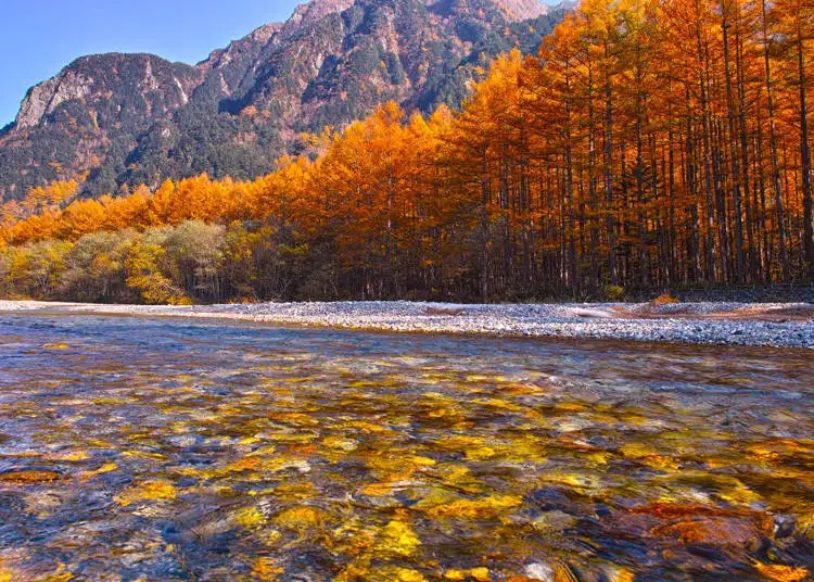 Sắc thu dịu dàng ở khu nghỉ dưỡng trên núi Kamikochi, tỉnh Nagano, Nhật Bản.