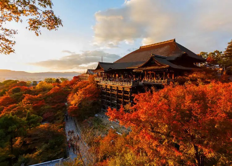 Vẻ đẹp ấn tượng mỗi độ thu về của ngôi chùa Kiyomizu-dera, thuộc Di sản văn hóa cố đô Kyoto