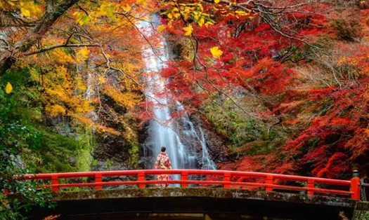 Vẻ đẹp ấn tượng mỗi độ thu về của ngôi chùa Kiyomizu-dera, thuộc Di sản văn hóa cố đô Kyoto