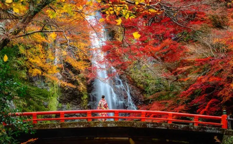 Vẻ đẹp ấn tượng mỗi độ thu về của ngôi chùa Kiyomizu-dera, thuộc Di sản văn hóa cố đô Kyoto