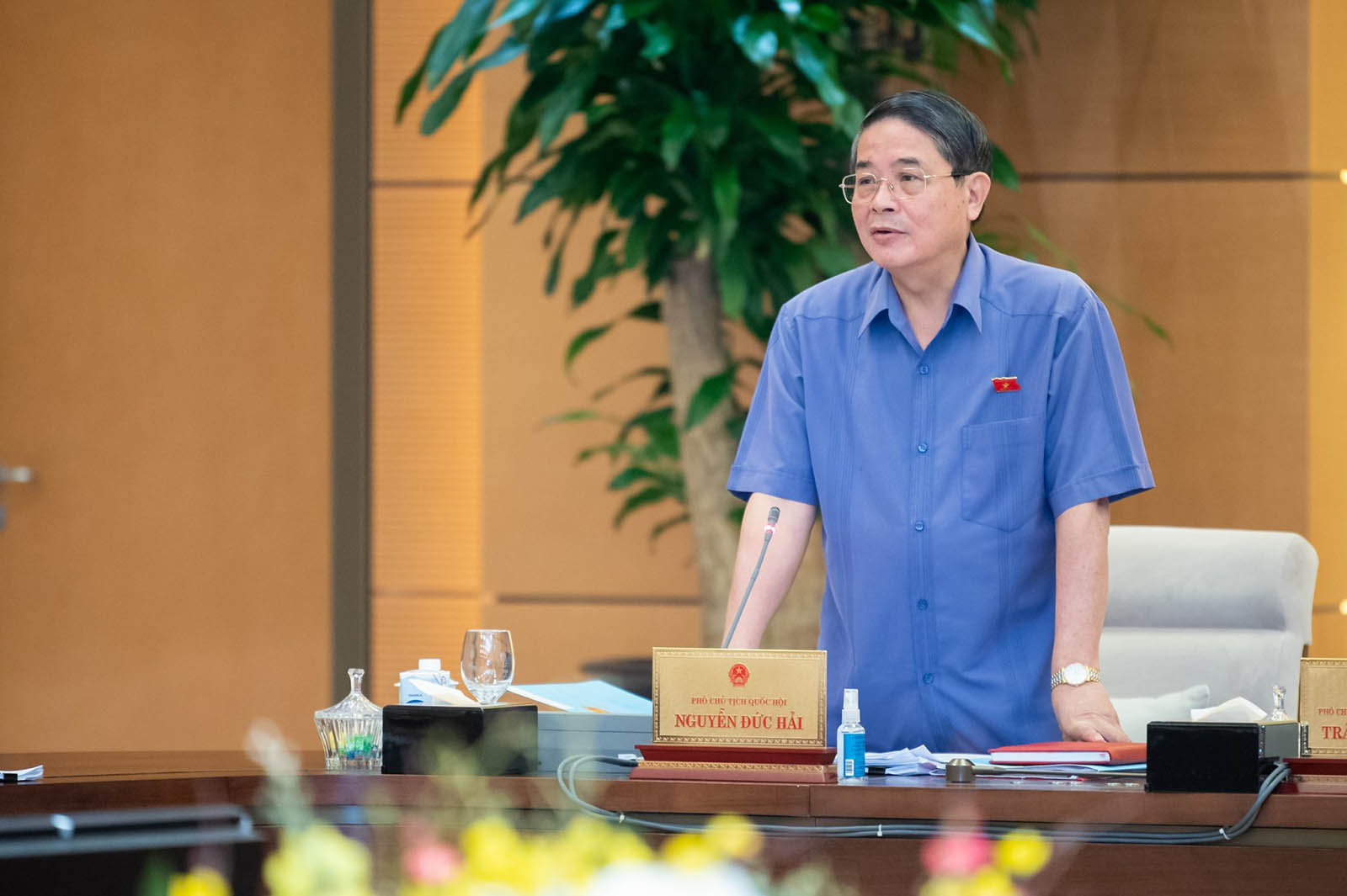 Phó Chủ tịch Quốc hội Nguyễn Đức Hải phát biểu. Ảnh: Phạm Thắng/QH  