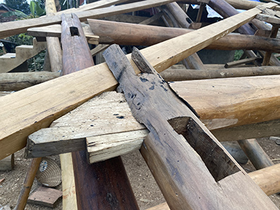 Người Thái ở xã Phổng Lái (Thuận Châu - Sơn La) thường tích trữ gỗ nhiều năm trước khi dựng nhà sàn mới. Các loại gỗ được dùng thường là gỗ lim, đinh, sến, táu. 