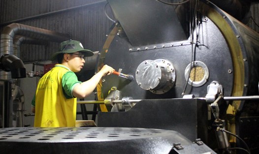 Doanh nghiệp tư nhân Toàn Hằng chú trọng sản xuất cà phê chất lượng phục vụ cho thị trường trong nước và xuất khẩu. Ảnh: Bảo Lâm