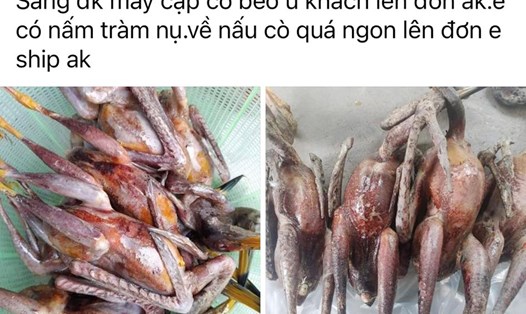 Một tài khoản Facebook đăng tải thông tin rao bán chim trời ở Hà Tĩnh. Ảnh: Trần Tuấn.