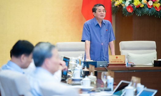 Phó Chủ tịch Quốc hội Nguyễn Đức Hải phát biểu. Ảnh: Quốc hội