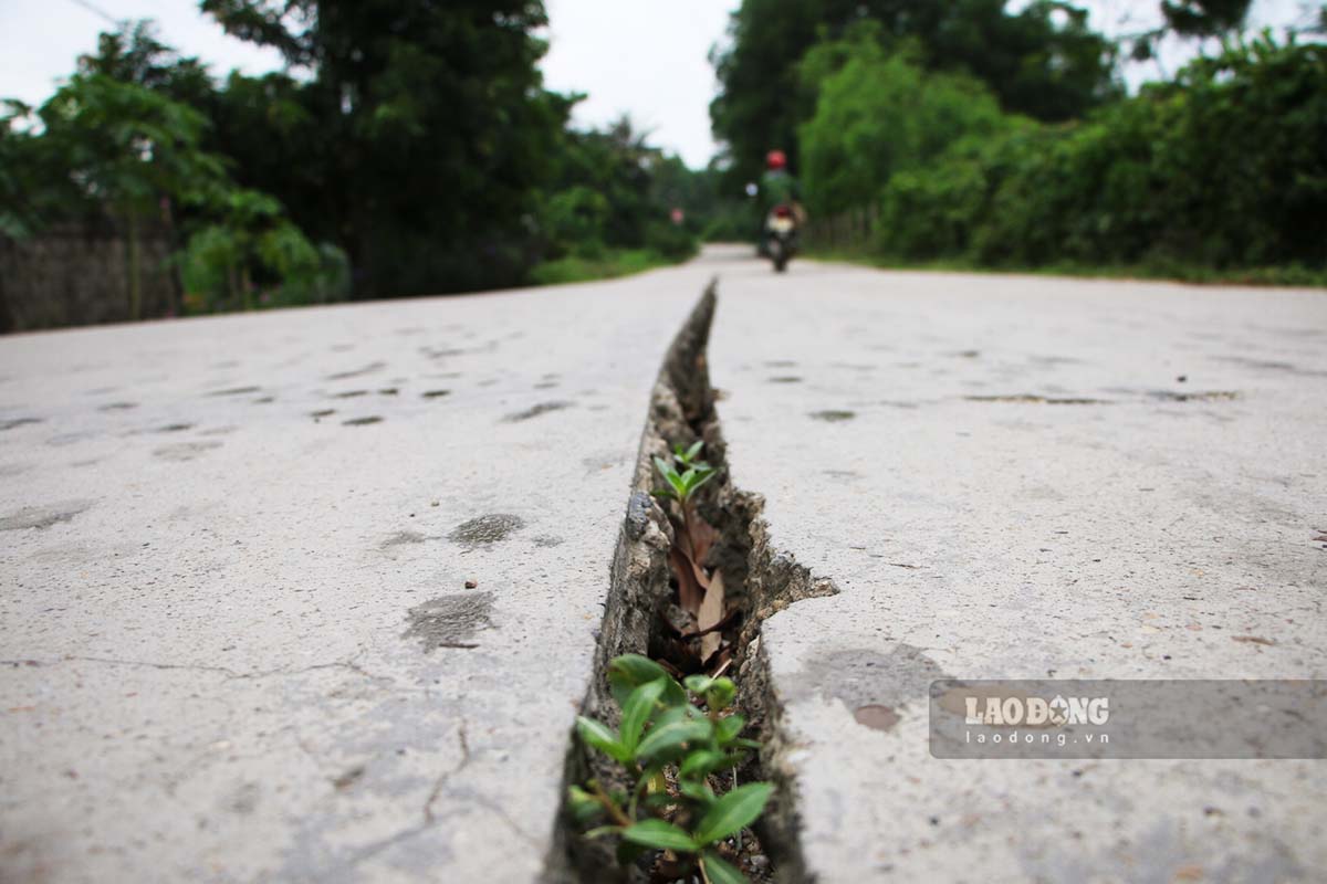 Nhiều vết nứt hở rộng đủ lọt được bánh xe máy, xe đạp và kéo dài, tách đôi mặt đường rất nguy hiểm cho người tham gia giao thông.