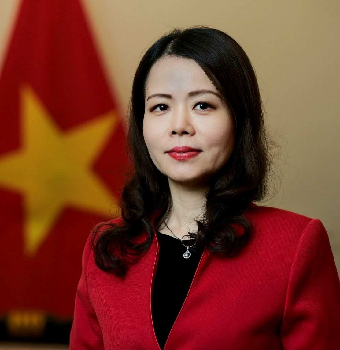 Bà Nguyễn Minh Hằng giữ chức Thứ trưởng Bộ Ngoại giao. Ảnh: VGP