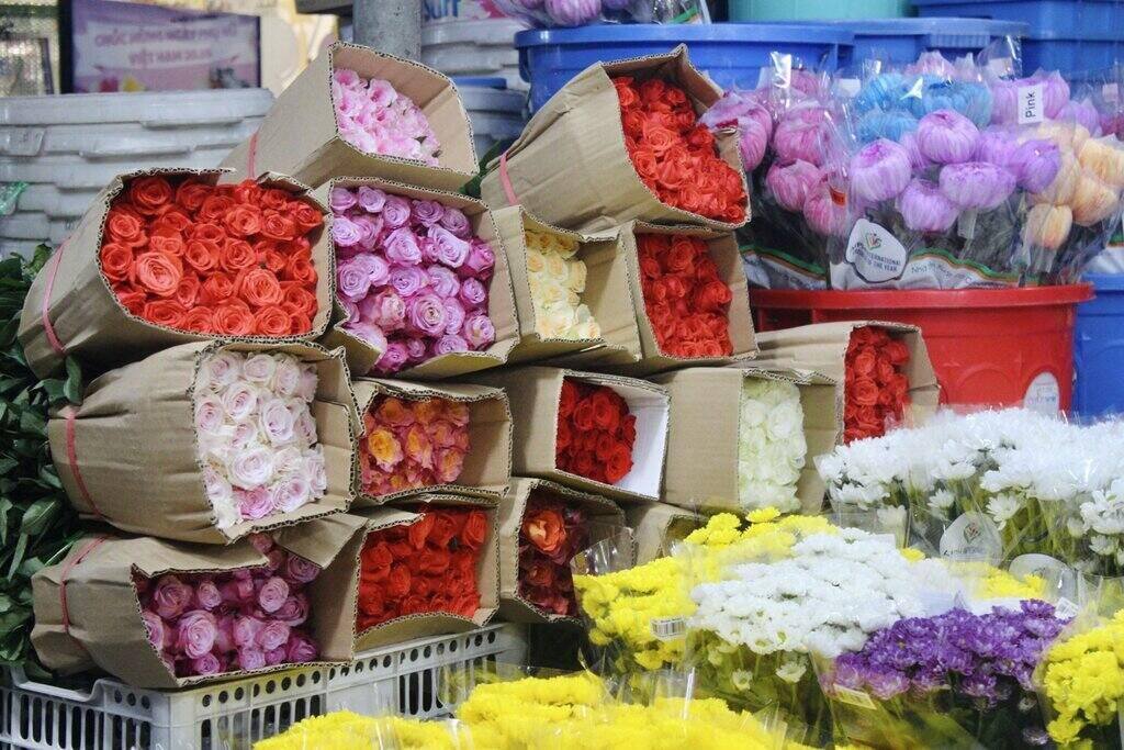 Cụ thể, giá các loại hoa hồng kem, hồng Đavit, hồng Mina… dao động từ 130.000 – 150.000 đồng/bó 50 hoa, tùy màu và tùy loại hoa. Trong đó, hoa hồng đỏ Ecudo và đỏ Omara là 2 màu hoa được yêu thích nhất trong các dịp lễ bởi vẻ đẹp cuốn hút và sang trọng.