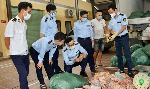Lực lượng chức năng tiến hành kiểm tra, tiêu hủy 2 tấn tai lợn không đảm bảo an toàn chất lượng. Ảnh: Cục QLTT tỉnh Thái Nguyên