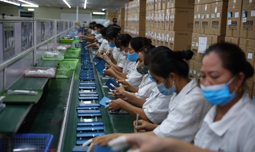 Sau 3 năm Hiệp định Thương mại tự do Việt Nam - EU có hiệu lực, các doanh nghiệp Việt vẫn chủ yếu xuất hàng thô sang châu Âu, nhường sân cho doanh nghiệp FDI. Ảnh: Cường Ngô