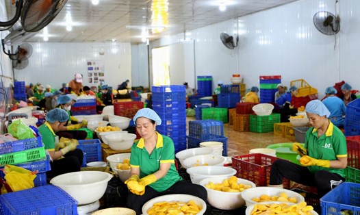 Thời gian qua, doanh nghiệp ở Đắk Nông thường xuyên quan tâm nâng cao tay nghề, bồi dưỡng chế độ bảo đảm cho người lao động. Ảnh: Lê Dung