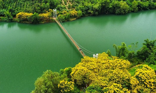 Cầu treo Đắk R'Moan là điểm đến hấp dẫn khiến du khách không khỏi suýt xoa và mê mẩn. Ảnh: Lê Phước