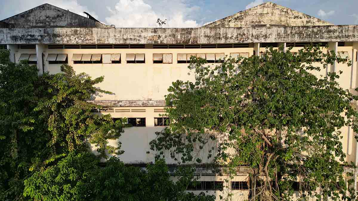 Cỏ dại, cây cối phủ kín nhiều dãy phòng bị bỏ hoang của công ty Công ty CP giáo dục Sài Gòn đoạn trên đường Trần Nhân Tôn.