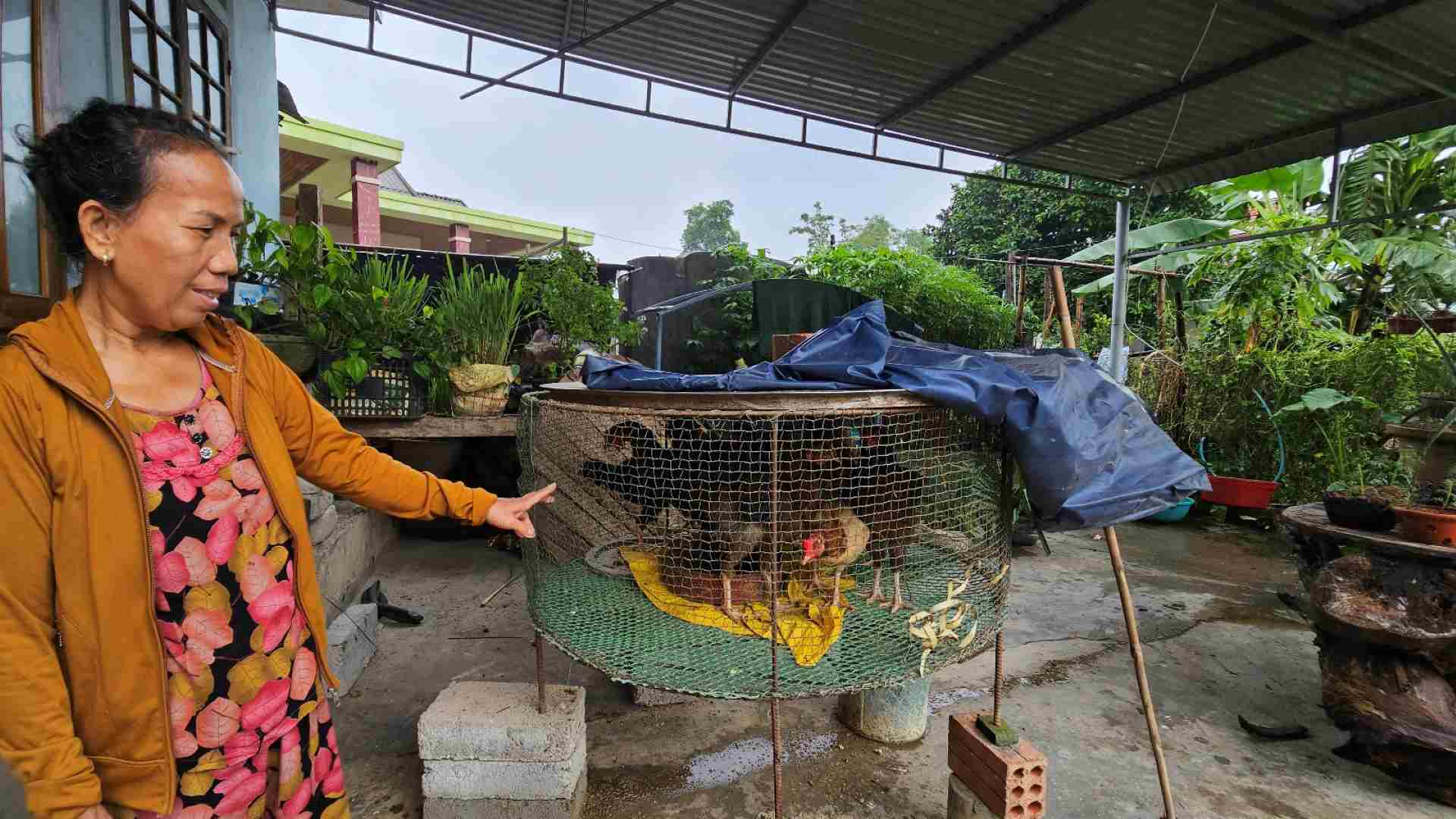 Bà Phạm Thị Uyển, trú tại làng Xuân Tùy, xã Quảng Phú cho biết, việc nước lũ ngập úng toàn bộ khu vực làng là chuyện thường niên hàng năm, năm nào cũng lũ lụt, có năm thì 4 đến 5 đợt lũ. 