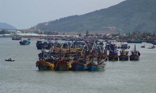 Tàu thuyền đánh bắt cá ngư dân miền Trung neo đậu tại vịnh Đà Nẵng để tránh gió bão. Ảnh: T.Hiếu