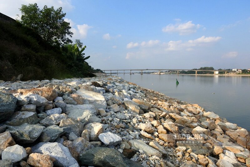 Ghi nhận tại đây, tuyến kè khẩn cấp được xây dựng bằng đá hộc đã hoàn thành, trải dài khoảng 300 mét tính từ chân cầu Trung Hà ngược về thượng nguồn sông Đà.