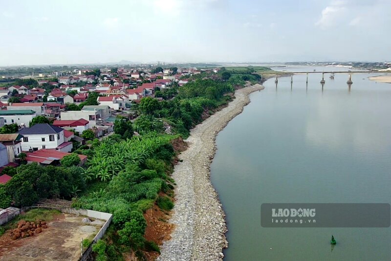 Giữa tháng 10.2023, phóng viên Báo Lao Động trở lại bờ sông Đà đoạn qua khu 12, khu 13 xã Dân Quyền, huyện Tam Nông (Phú Thọ), đây chính là nơi bị sạt lở nghiêm trọng hồi tháng 5.2023, đe dọa đến tính mạng, tài sản của hàng trăm hộ dân.