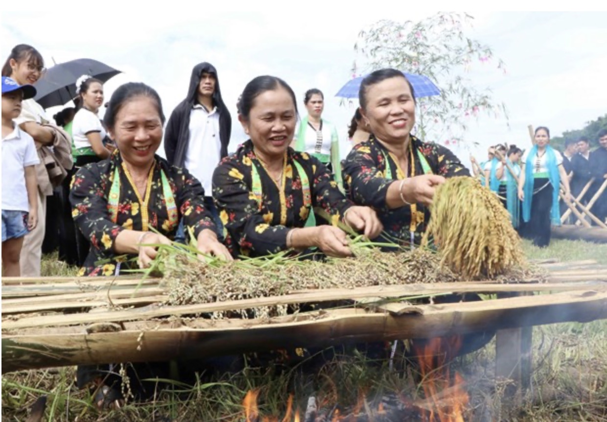 Người dân tộc Thái nướng lúa để làm cốm trong lễ hội. Ảnh: Anh Vũ