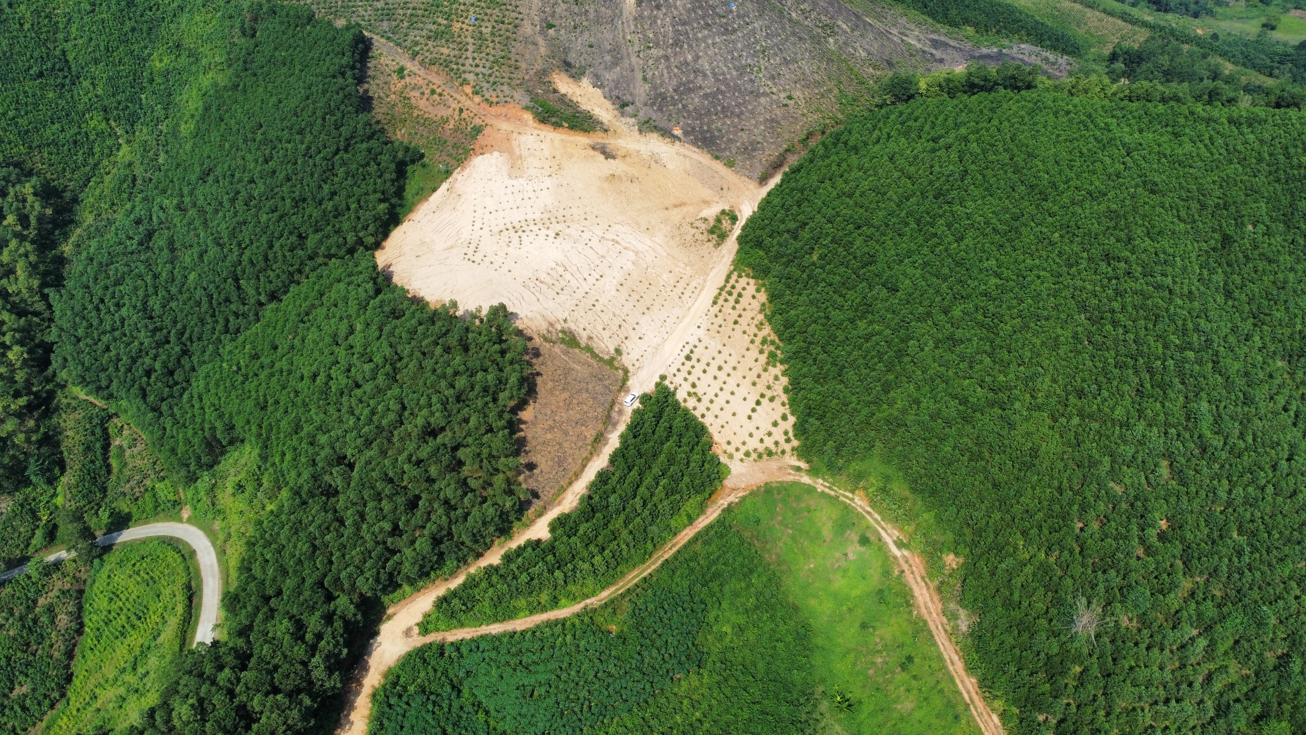 Một góc rừng vừa được người dân nhận giao khoán đất lâm nghiệp trồng bổ sung cây xanh tại xã Lương Thịnh, huyện Trấn Yên, tỉnh Yên Bái. Ảnh: Bảo Nguyên