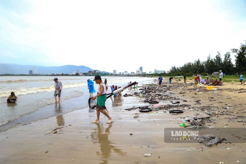   Chiều 19.10, hàng chục người dân đổ về bờ biển Nguyễn Tất Thành (khu vực gần công viên biển Hà Khê) để bắt nghêu biển. 