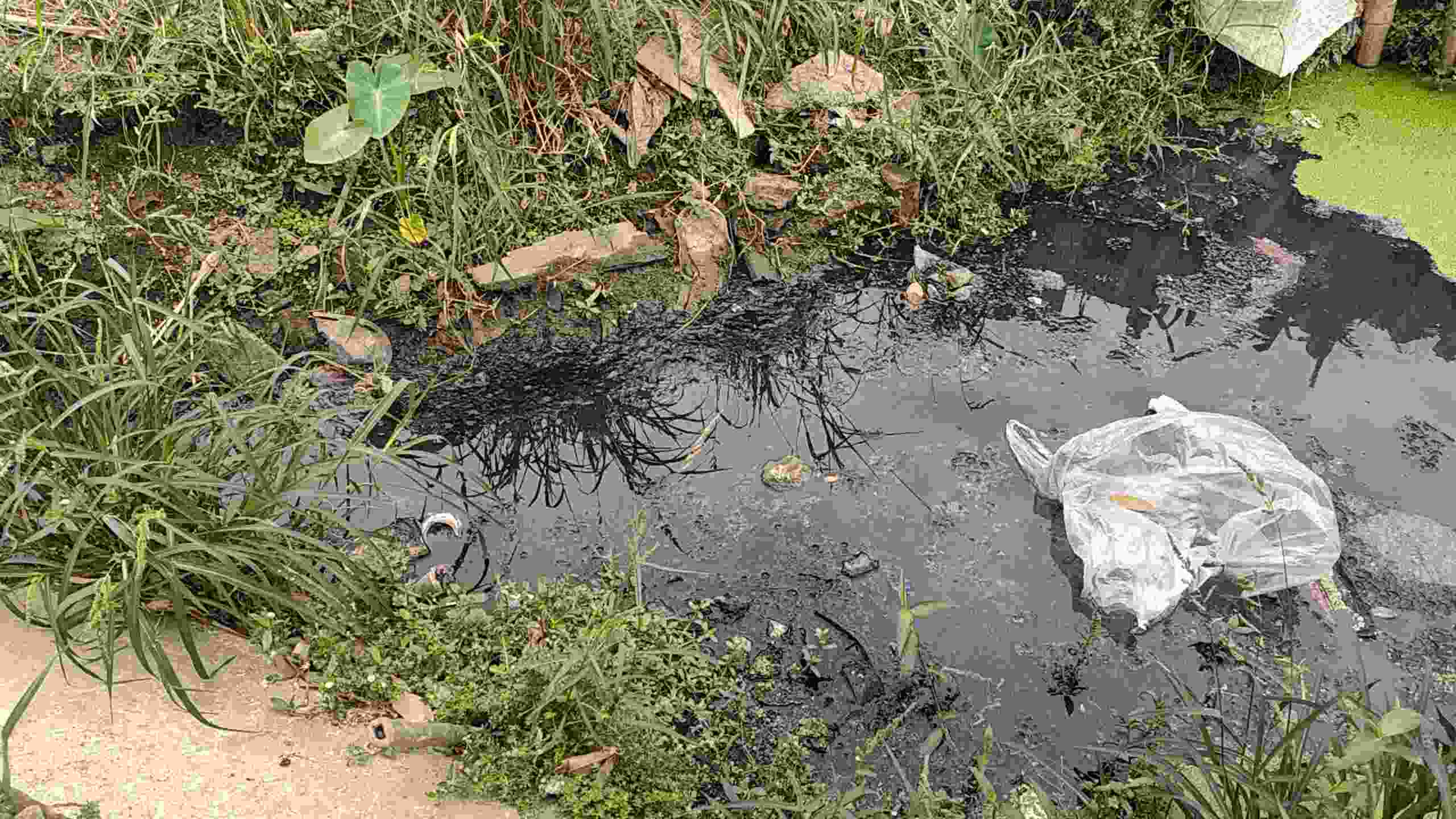 Nước mương đen đặc, mặt nước đầy rác thải sinh hoạt. Ảnh: Hoàng Khôi