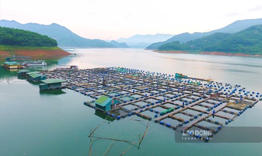Tỉnh Hòa Bình lần đầu tiên tổ chức Lễ hội cá tôm sông Đà. Ảnh: Minh Nguyễn
