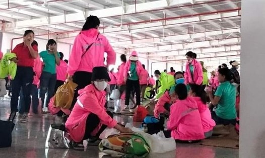 Chiều 2.10, 5.000 công nhân Công ty TNHH Viet Glory (đóng tại huyện Diễn Châu, Nghệ An) ngừng việc. Ảnh: Hải Đăng