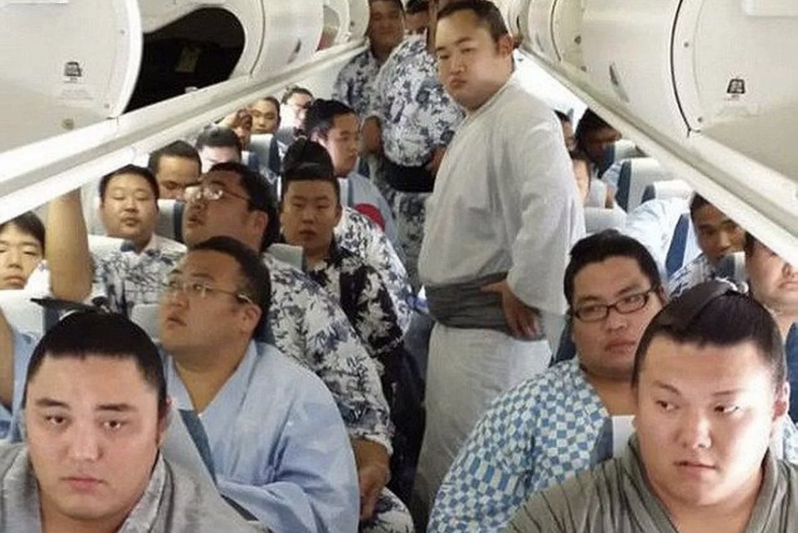 Một chuyến bay chở sumo ở Nhật Bản. Ảnh minh hoạ: Sora News