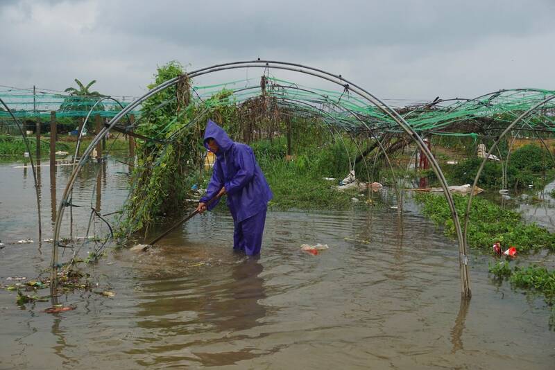 Đợt mưa lũ ngày 13,14.10 vừa qua, hàng chục hecta rau màu của người dân ở vườn rau La Hường bị chìm trong nước lũ.