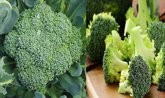 Người có axit uric cao có thể ăn bông cải xanh với lượng vừa phải. Đồ hoạ: Hạ Mây