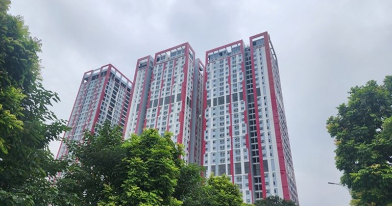 laodong.vn