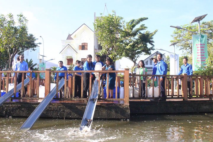 Thả cá tái tạo hệ sinh thái. Bố trí 1.000 thùng rác trên địa bàn quận Ninh Kiều, Bình Thủy, Cái Răng. Đồng loạt ra quân vệ sinh môi trường tại 9 quận, huyện toàn TP. 