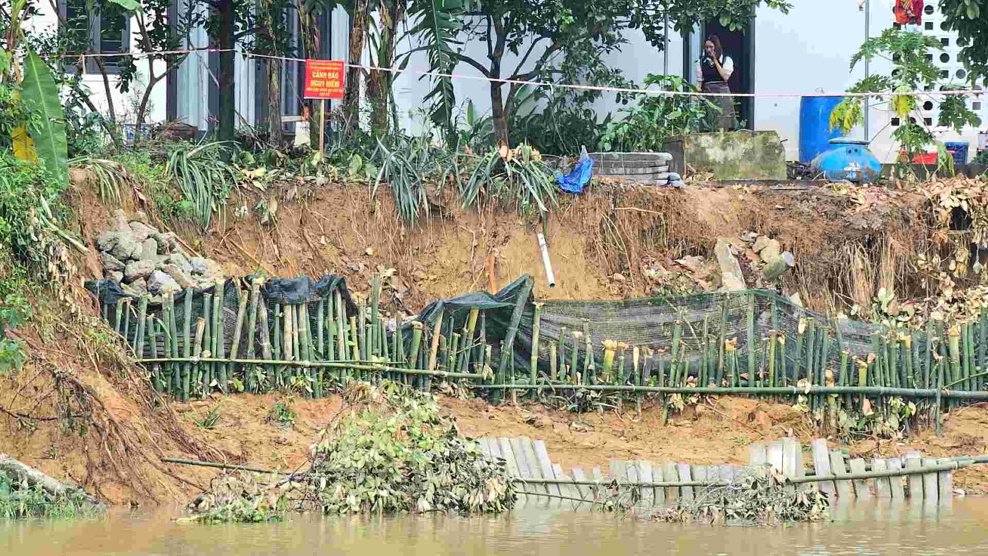  Ghi nhận tại tổ dân phố Long Hồ Hạ 2, gần 500m2 đất vườn trồng cây của gia đình bà Nguyễn Thị Hường (80 tuổi) đã bị sụt lún xuống sông Bạch Yến.