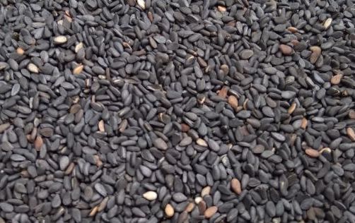 Hạt vừng đen chưa nhiều chất xơ, có lợi cho sức khoẻ. Ảnh: Phạm My