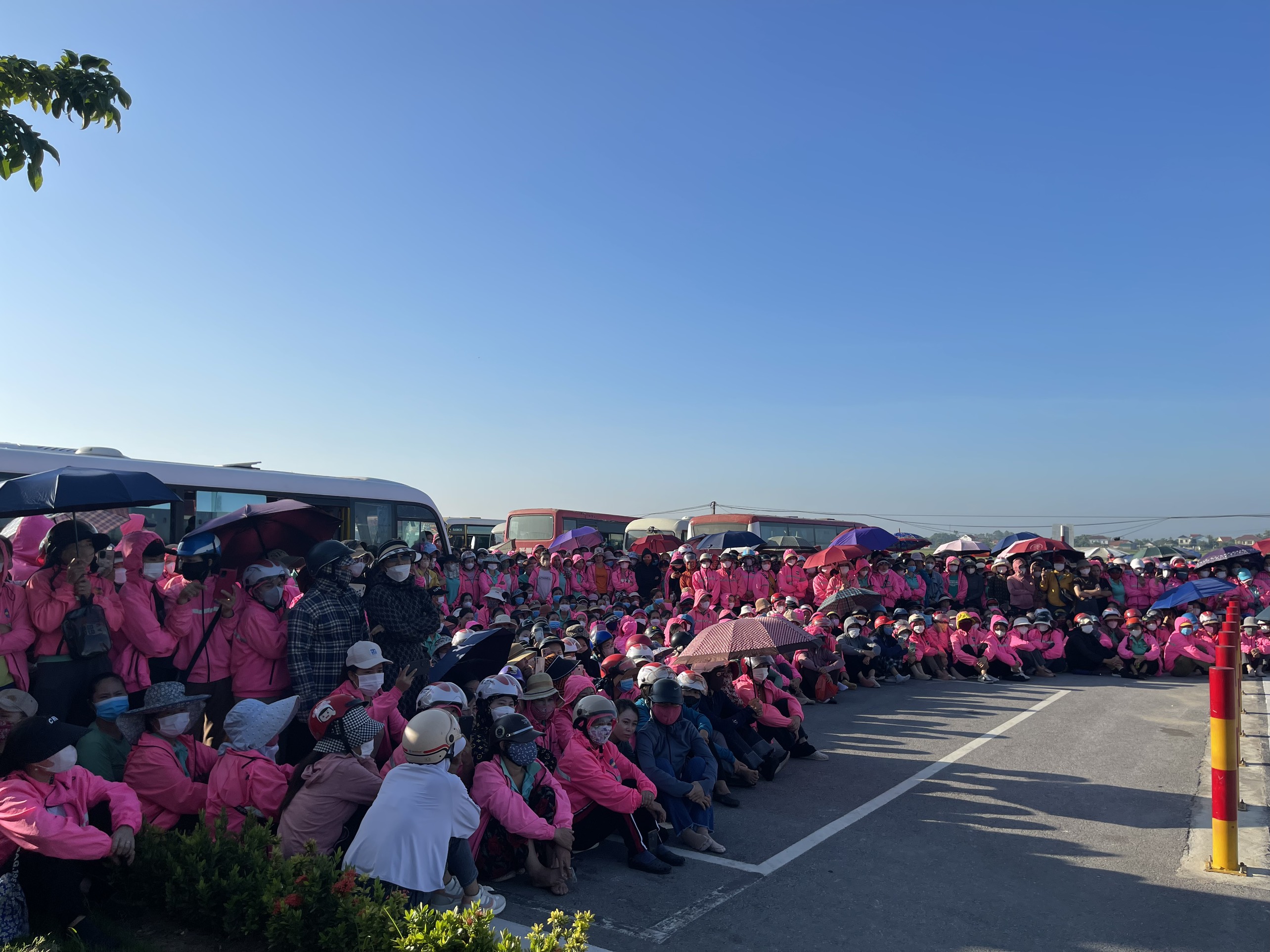 laodong.vn