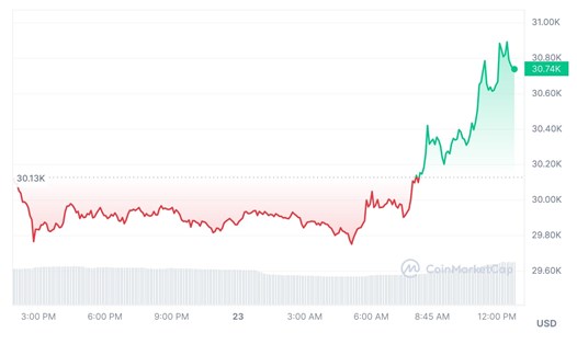 Bitcoin hiện đã vượt qua mức giá 30.000 USD. Ảnh: Chụp màn hình. 