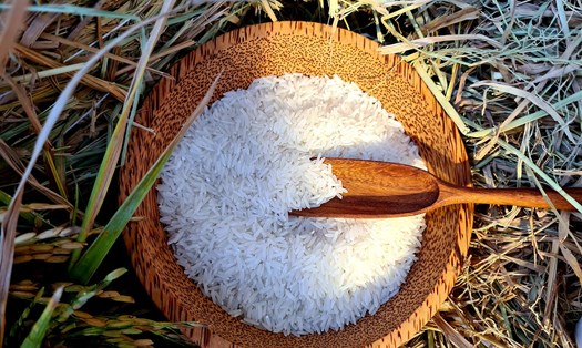 Giá gạo xuất khẩu của Việt Nam đang cao nhất thế giới. Ảnh: Vũ Long