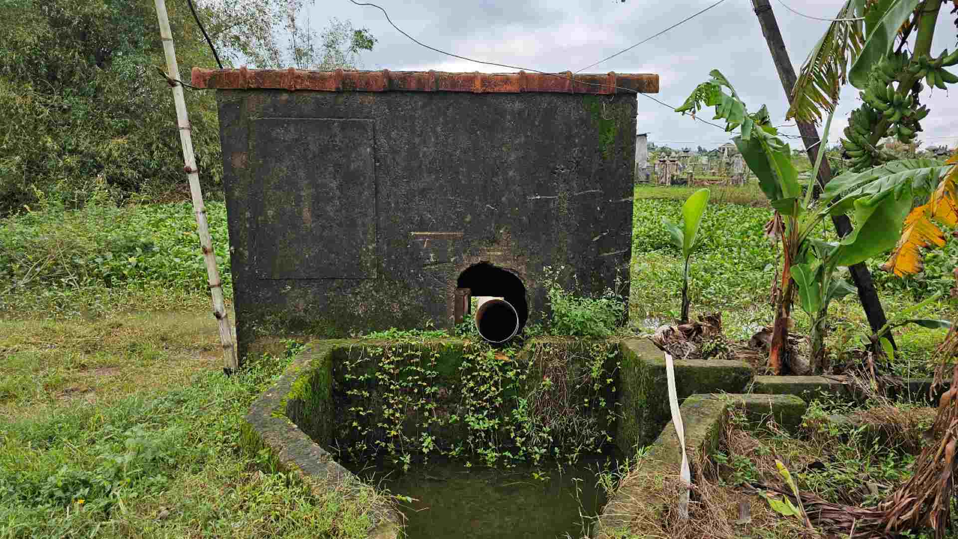 Hình ảnh ống dẫn nước tại trạm bơm trên hói Hà, tiếp giáp giữa 2 thôn Phò An và Dương Nổ Đông (xã Phú Dương) bị bao phủ bởi lục bình. 