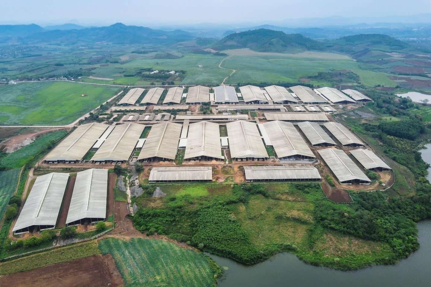 Một phần của “Cụm trang trại tập trung ứng dụng công nghệ cao với quy trình sản xuất khép kín quy mô lớn nhất thế giới”. Ảnh: 