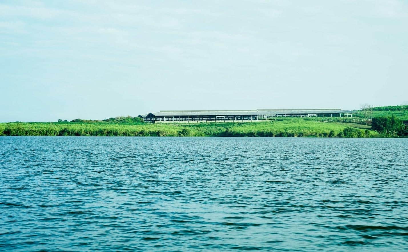 Hồ sông Sào có ý nghĩa đặc biệt quan trọng đối với trang trại TH.
