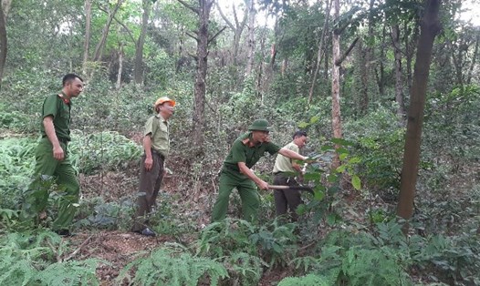 Lực lượng chức năng thị xã kiểm tra, phát quang thảm thực vật để phòng cháy chữa cháy rừng. Ảnh: Cổng TTĐT thị xã Kinh Môn, Hải Dương