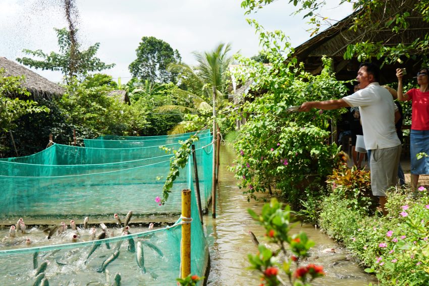 Màn trình diễn cá lóc bay. Ảnh: Thanh Chân