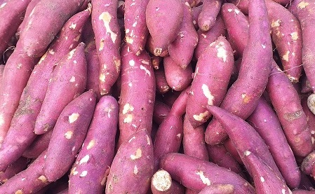 Khoai lang là thực phẩm chứa nhiều chất xơ hoà tan có thể hỗ trợ quá trình giảm cân. Ảnh: Phạm My