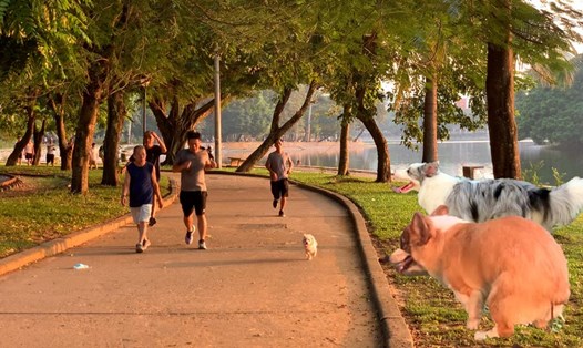 Chó thả rông, không rọ mõm "tung hoành" ở công viên Hà Nội