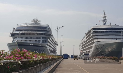 Cặp tàu Viking Orion và Silver Muse cùng cập Cảng tàu khách quốc tế Hạ Long sáng 27.10.2023. Ảnh: Nguyễn Hùng