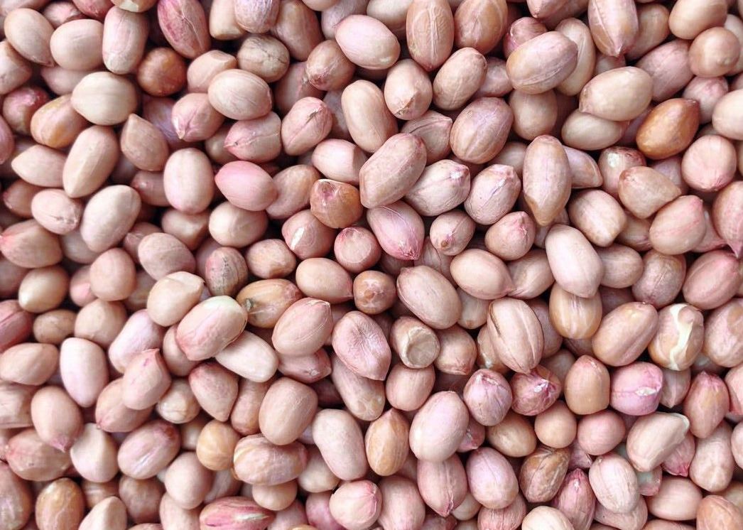 Một số người nên hạn chế dùng lạc trong chế độ ăn. Ảnh: Phạm My