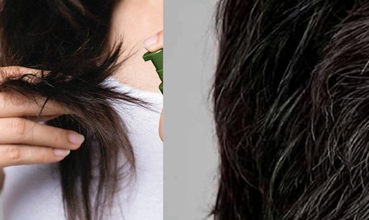Cách chăm sóc tóc để hạn chế bạc tóc. Ảnh ghép: Nguyễn Ly 