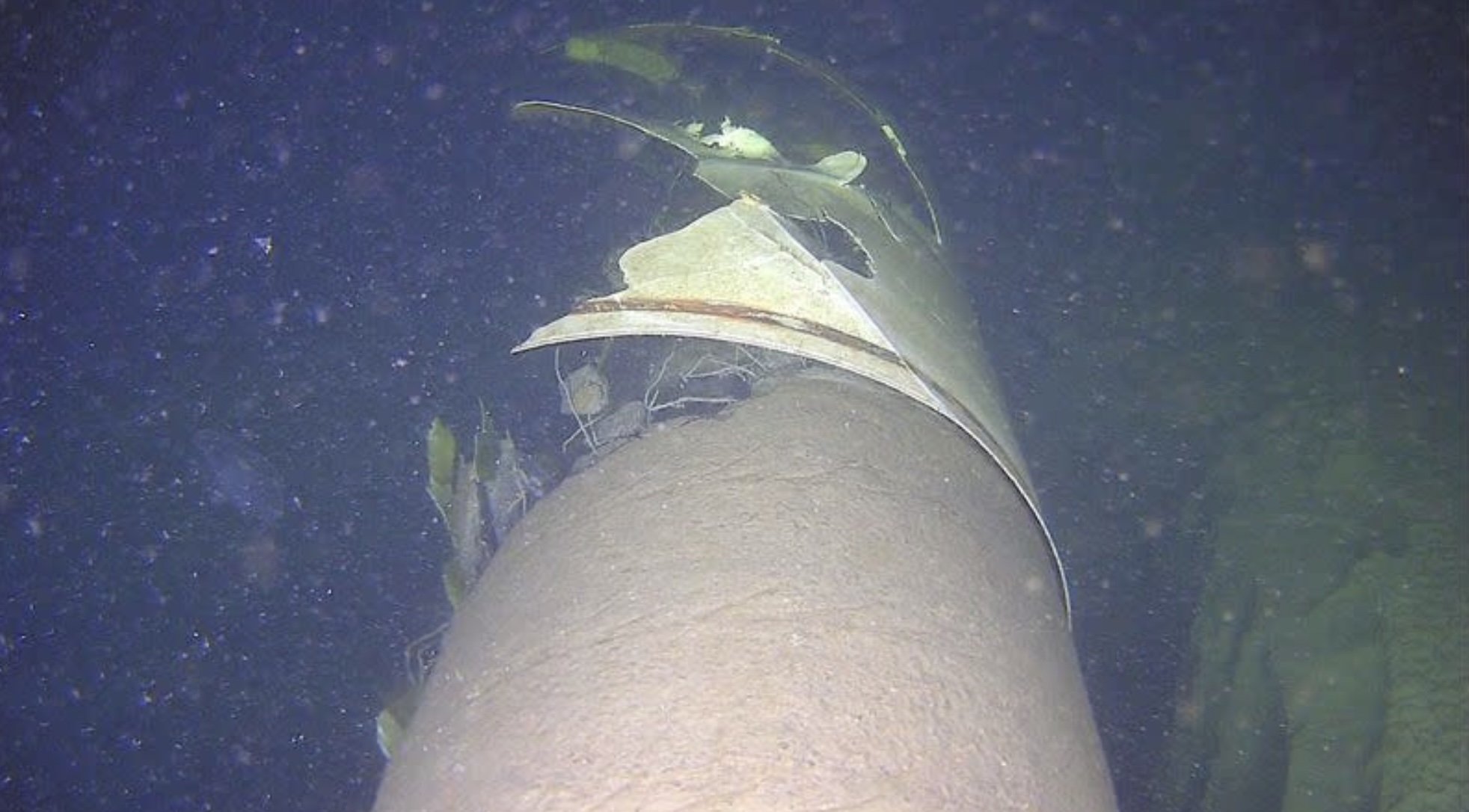 Estonia lên tiếng về vụ hỏng đường ống dẫn khí ở biển Baltic